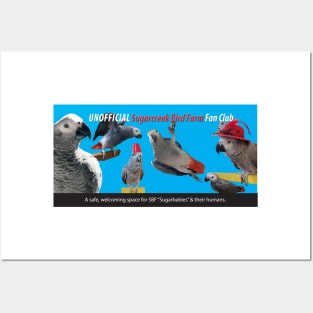 African Grey Parrot banner Posters and Art